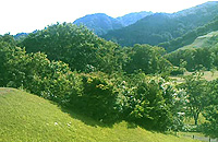 �������R��